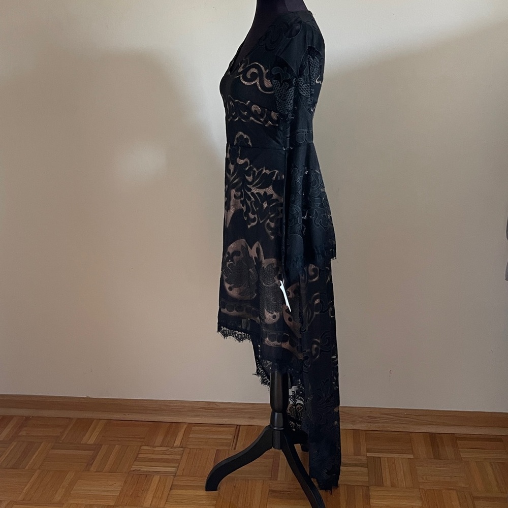 NEW Lily McBee Elegant Black and Nude Lace Dress - Picture 5 of 9